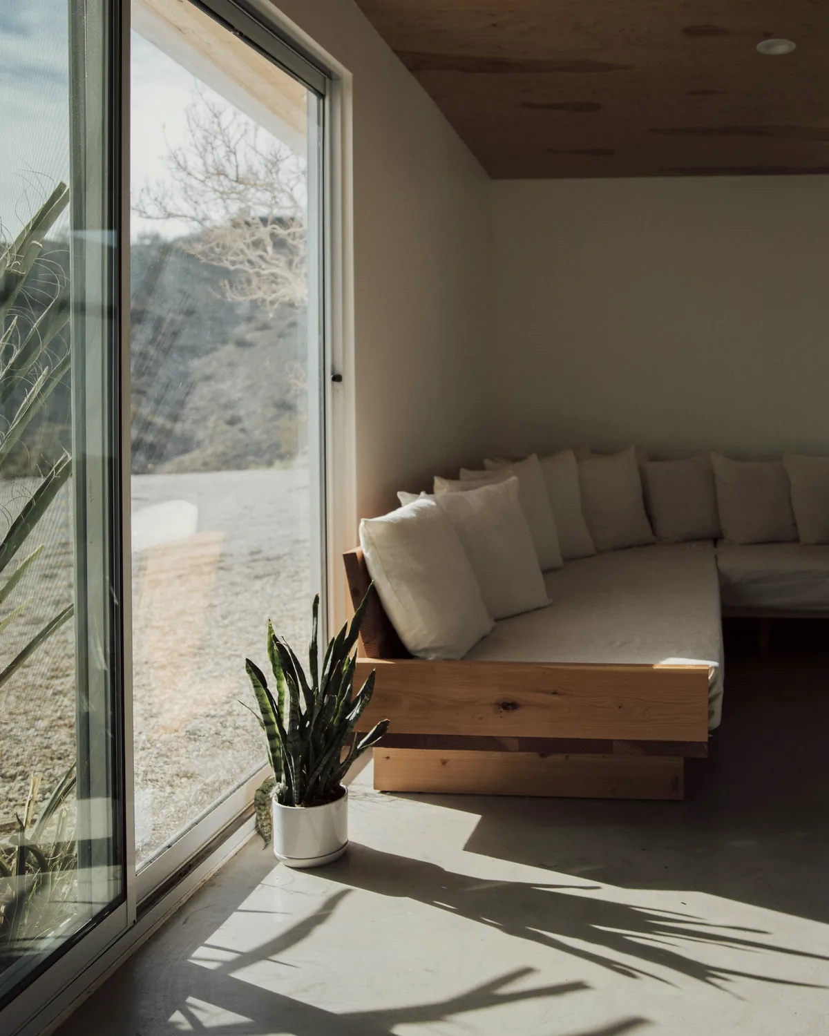 Low timber-framed sofa with white cushions by a sliding glass door, long plant shadows across a concrete floor