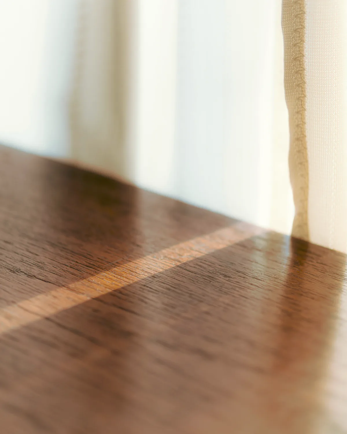 Walnut veneer grain in warm sunlight