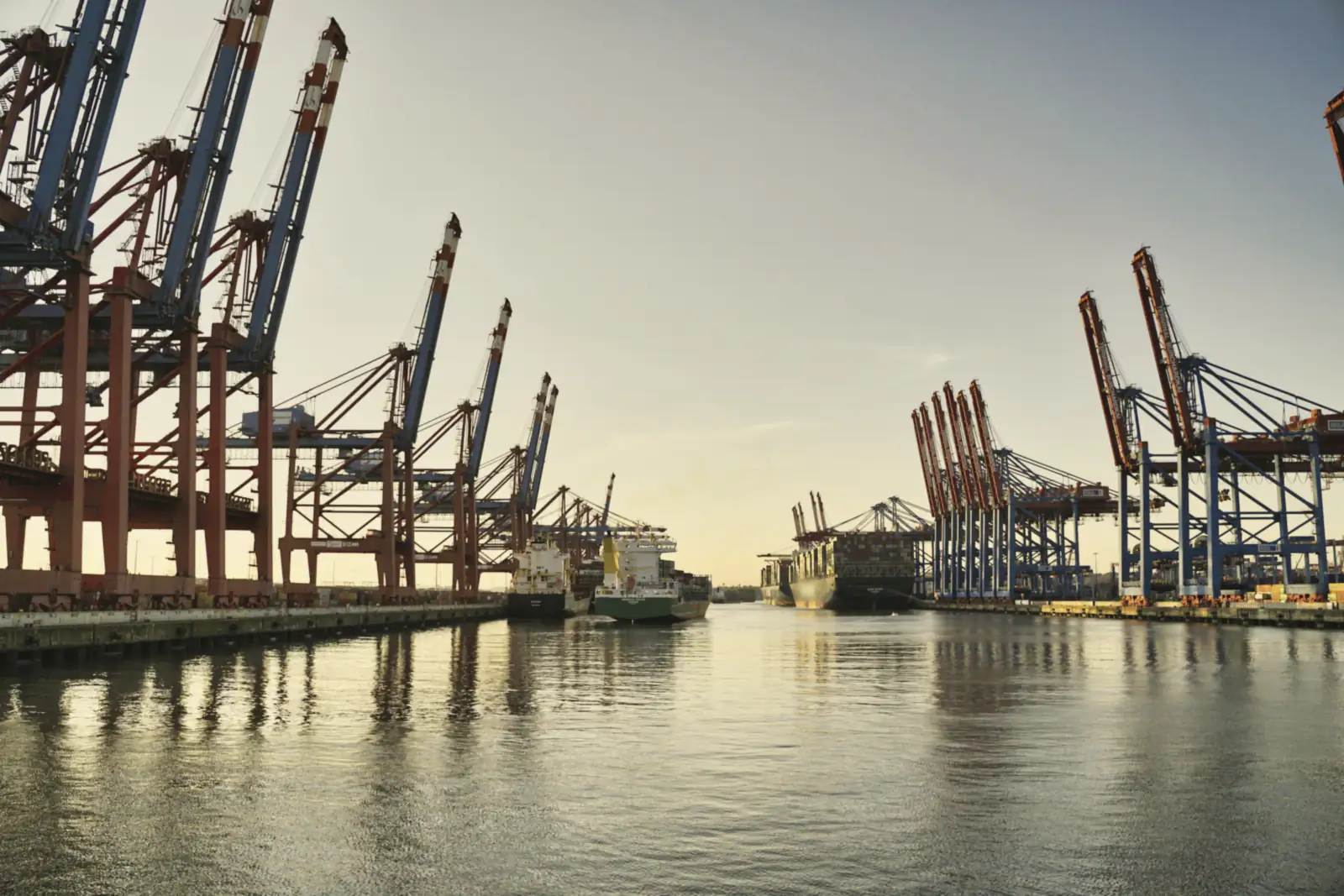 Container terminal cranes in soft golden light