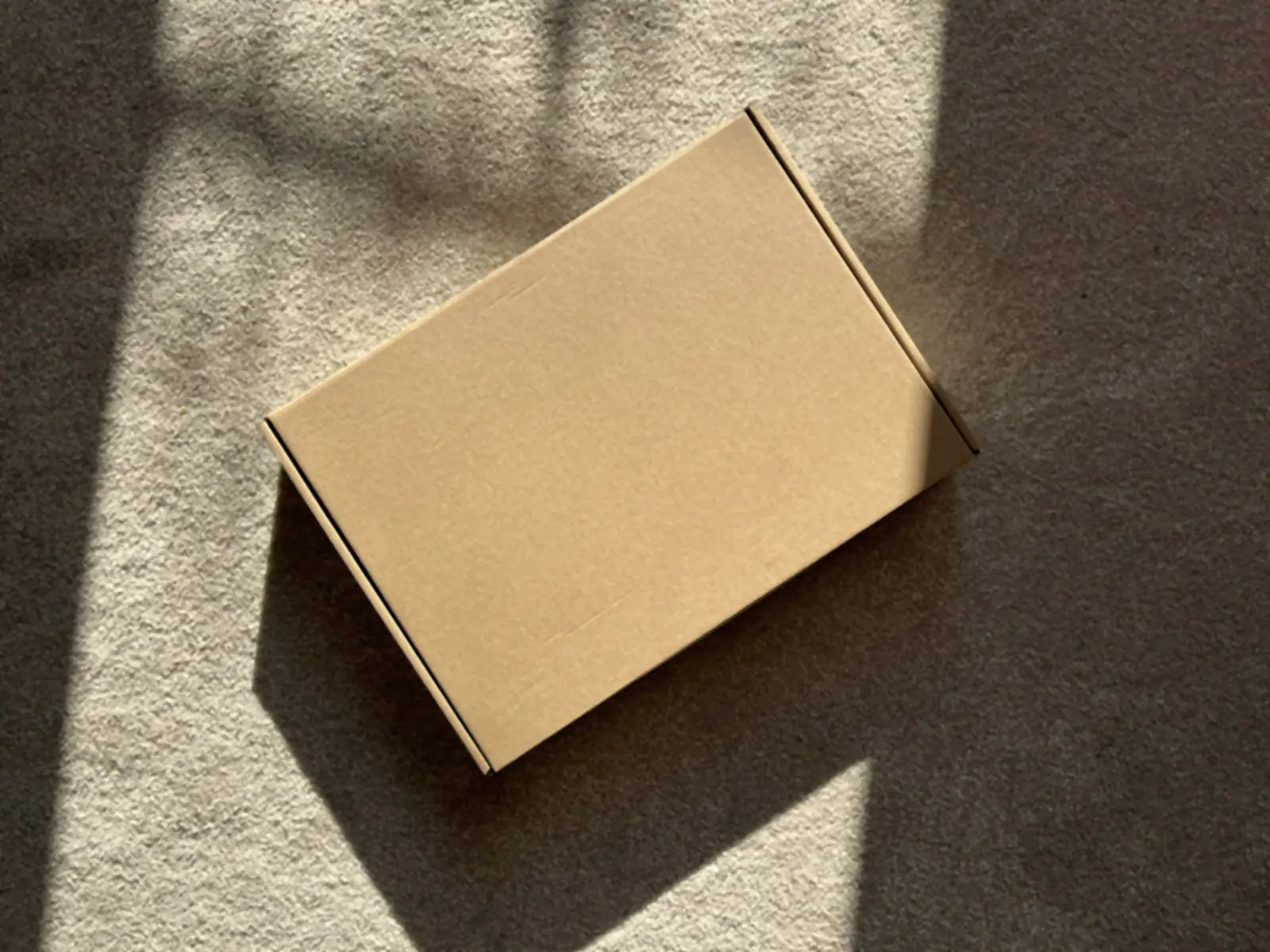 A closed cardboard box on a pale carpet, crossed by a bar of low sunlight